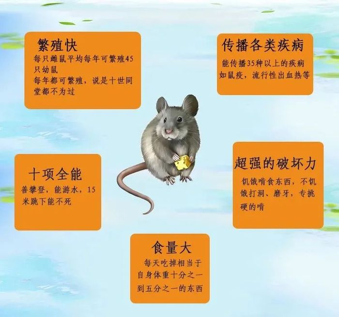 文章附图