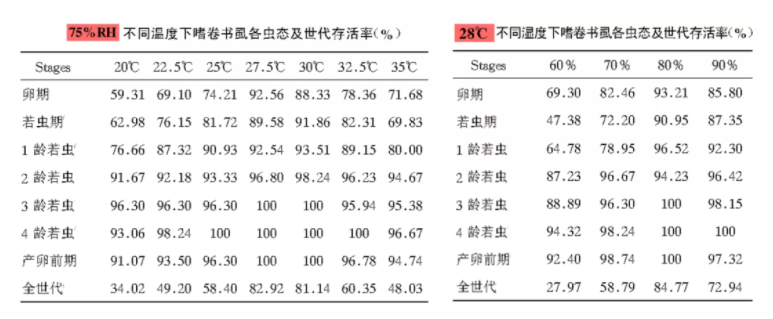 書虱7.png